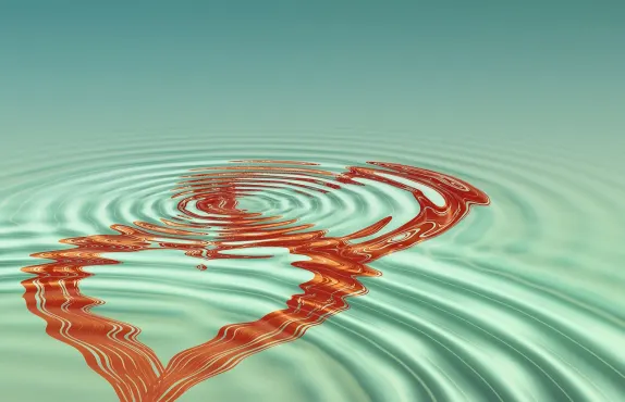 סלוסטר קזינו תמיכה